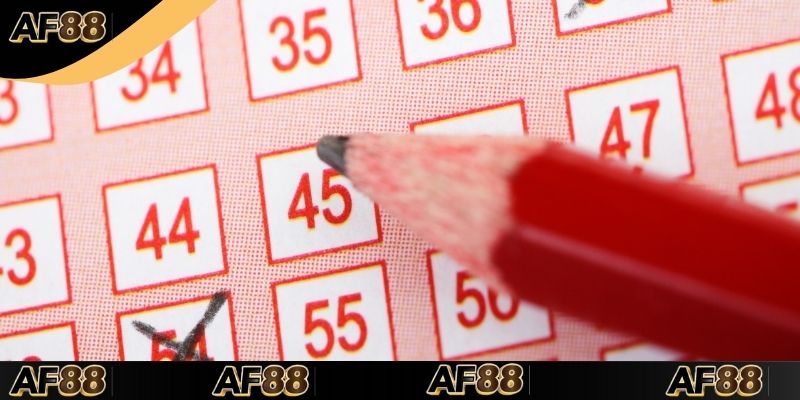 Soi theo chu kỳ trên Rồng Bạch Kim